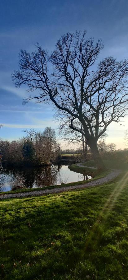 Kingfisher Cabin - Wild Escapes Wrenbury Off Grid Glamping - Ages 12 And Over Baddiley Bagian luar foto